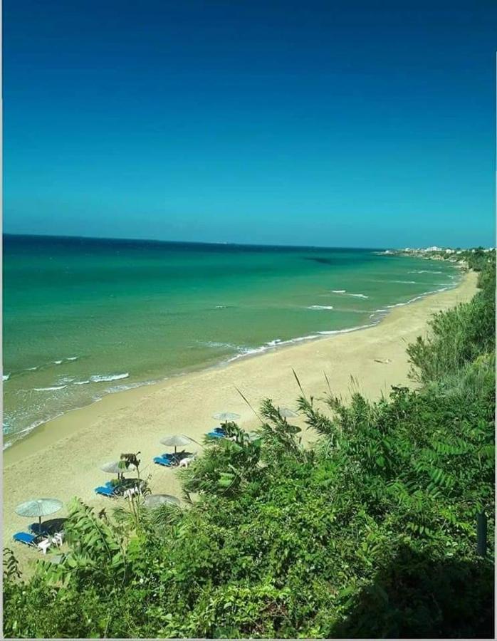 Harmony Corfu Apartments & Studios Exteriör bild