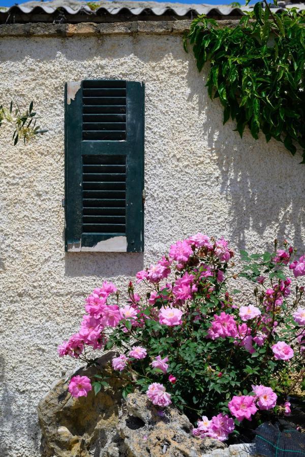 Harmony Corfu Apartments & Studios Exteriör bild